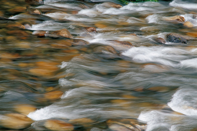 8034819bb3f0fd2d93359d7968d1e1a0_1522392466_1115.jpg