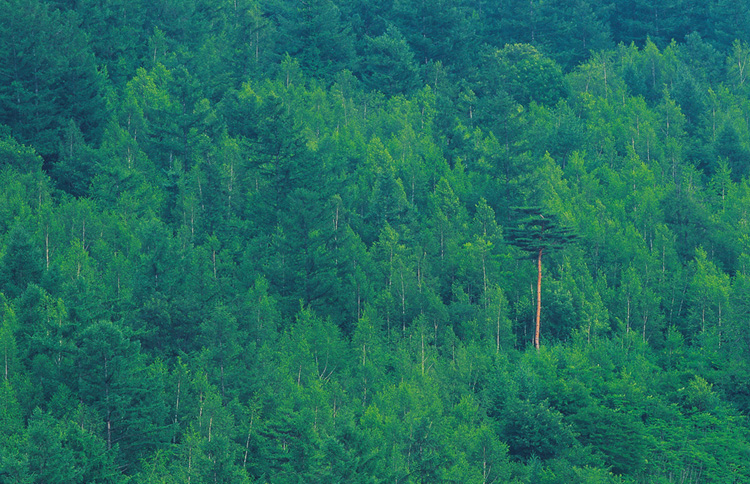 8034819bb3f0fd2d93359d7968d1e1a0_1522392489_5926.jpg