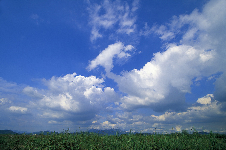 8034819bb3f0fd2d93359d7968d1e1a0_1522392492_481.jpg