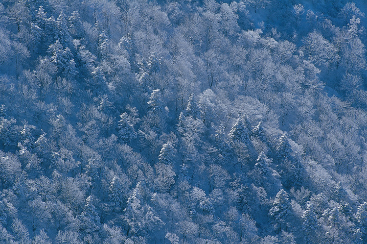 8034819bb3f0fd2d93359d7968d1e1a0_1522392496_7826.jpg