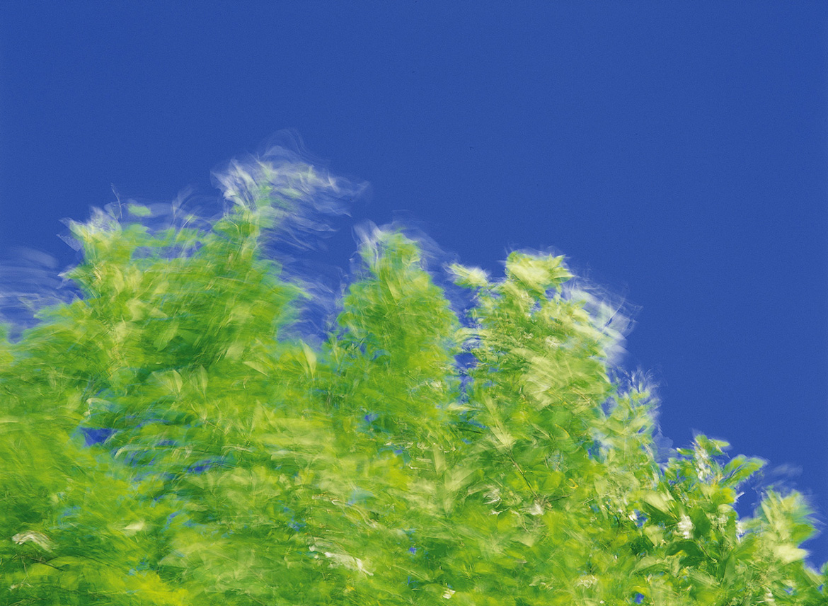 4856a879023b17ed7540ea5f3f9e405c_1531443815_093.jpg