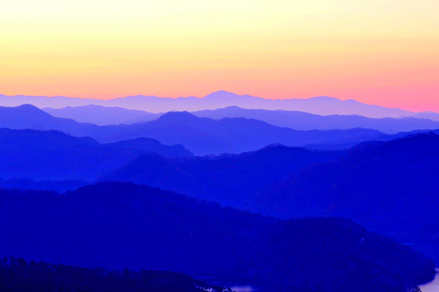 be9d3289685d059f3db5b1289a08504f_1611505158_1136.jpg
