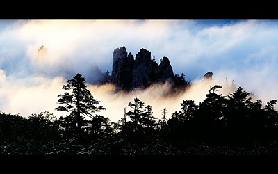 2014 전시회 사진