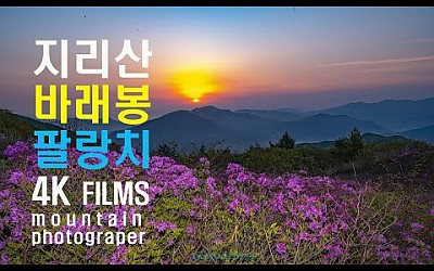 지리산 바래봉 - 팔랑치 철쭉