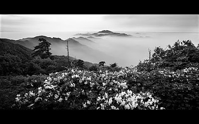 사)한국산악사진가 협회 2016정기 전시회