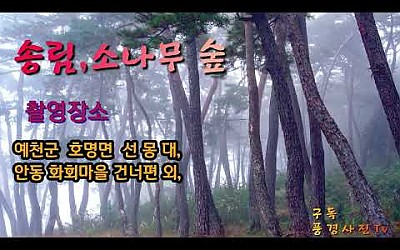 송림