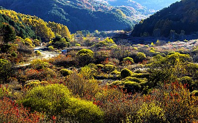 비밀의정원