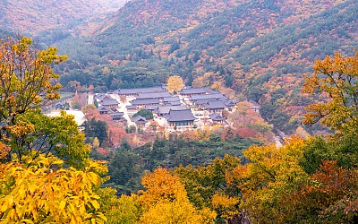 운문사