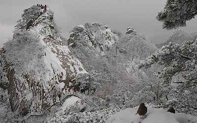 추억의 도봉산.