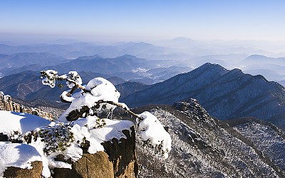 대둔산