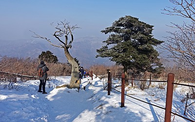 태백산