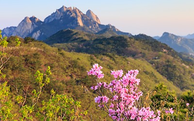칼바위에서.....