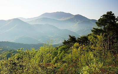 초록초록