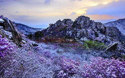 주작산 춘설