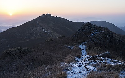 봄에 핀 겨울