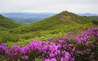 비가 오면