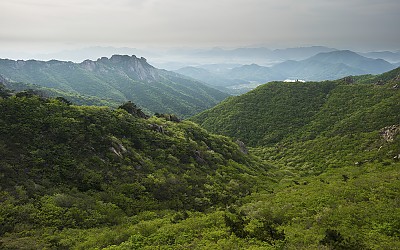 신록