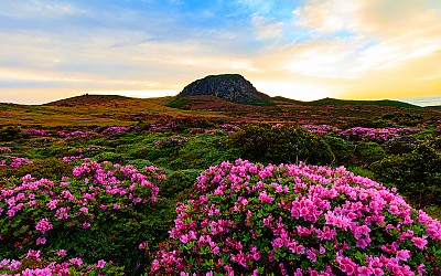 한라산.