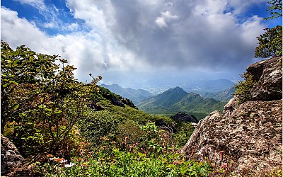 가야산 산오이풀꽃