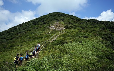 길(2) - 동엽령 길목에서