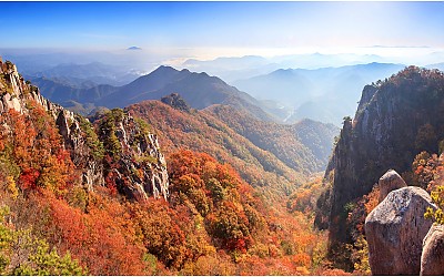 가을동화