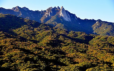 오색단풍 물이되어 흐르다...........도봉산