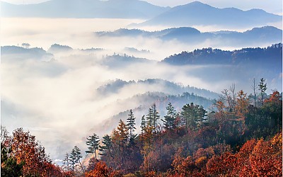 부귀산 자작나무 포인트에서