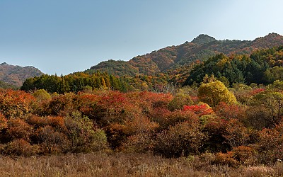 갑둔리추색