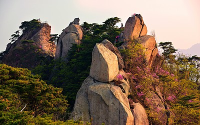 도봉산 암봉에 봄이올때