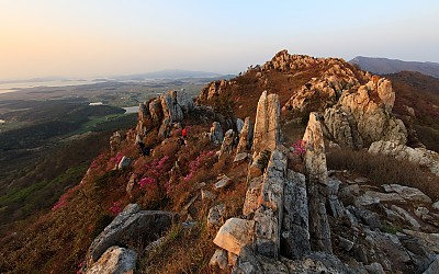 주작산.