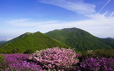 안양산