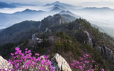 벌써 2년
