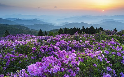 봄
