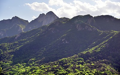 둘레길에서 바라본 북한산 녹음 빛