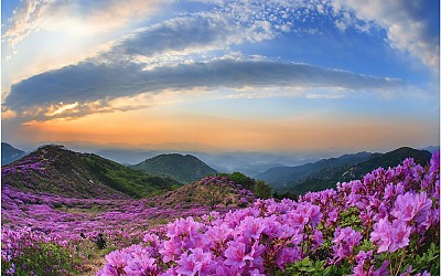 황매산
