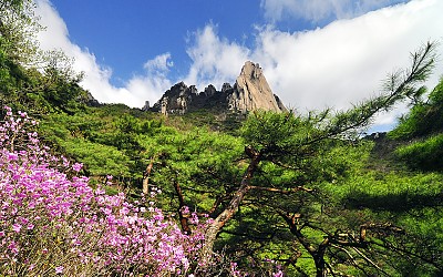 찬란한 도봉산의 봄날