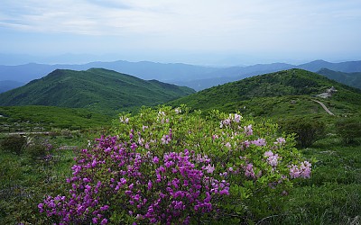 비켜 줄래
