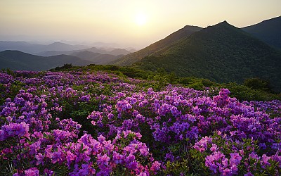 안양산
