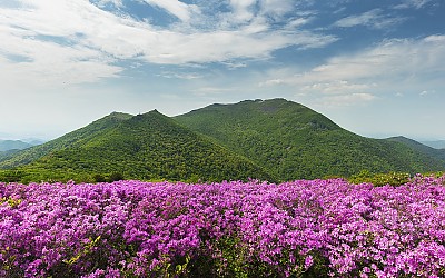 안양산