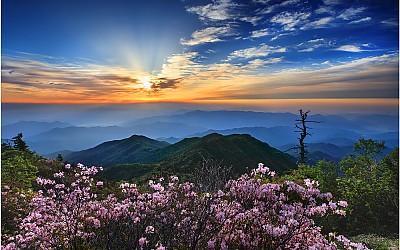 지리산