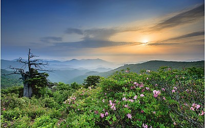 함백산 지킴이