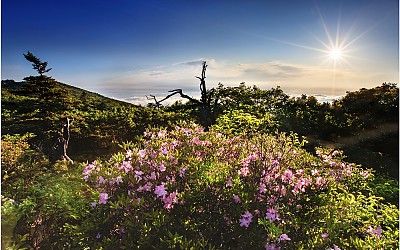 덕유산 국민포인트 !