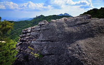 꽃잎 입에물고 산으로 간 악어.....도봉산