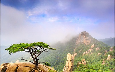 도봉산에 오르다 !!!