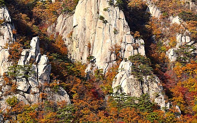 도봉산 암봉과 단풍