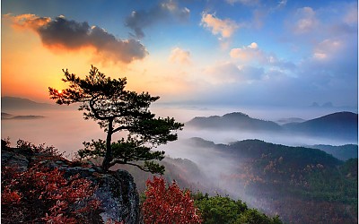 수능 대박 기원