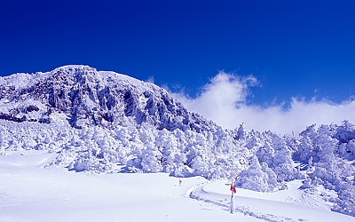 제주도.