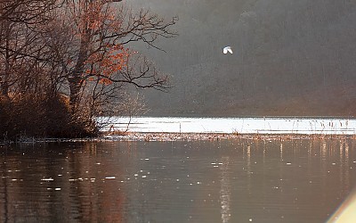 경안천.