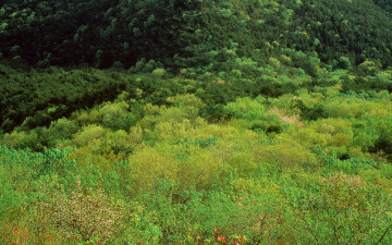 우리 잠시 쉬어갈까요 ~~ ^^