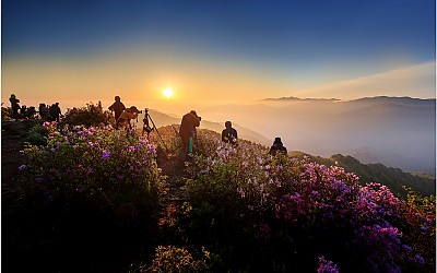 열정
